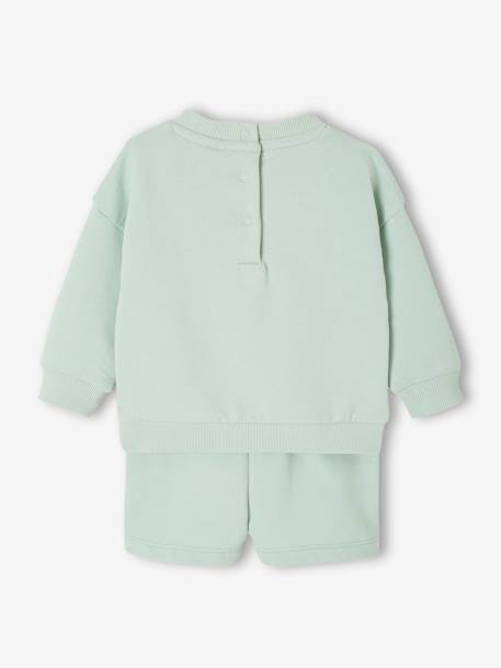 Sweatshirt + Shorts Combo for Babies grey blue 