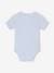 Pack of 3 short-sleeved baby bodysuits 'my little heart' sky blue 