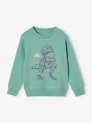 Boys-Graphic print basics sweatshirt for boys - BASICS