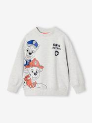 Boys-PAW PATROL® Sweatshirt for Boys