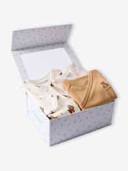 Baby-Sleepsuit gift set and 2 bear bodysuits