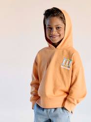 Boys-Graphic print hooded sweatshirt