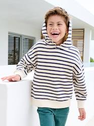 Boys-Striped hooded sweatshirt for boys