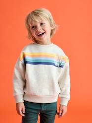 Boys-Graphic round neck sweatshirt for boys