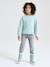 Basics Sweatshirt with Motif for Girls grey green+sky blue+vanilla 