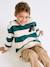 Sweatshirt with Wide Stripes & Bouclé Badge for Boys apricot+emerald green+night blue 