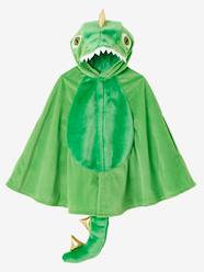 Dinosaur Costume