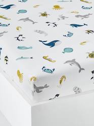 -Fitted Sheet for Children, Marine Animal Alphabet Theme